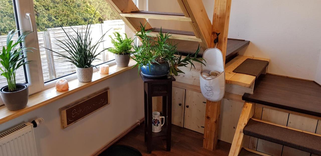 Ferienwohnung Malu Sol Im Harz - Stilvoll, Gemuetlich, Tierfreundlich - Mit Garten Allrode Exterior photo