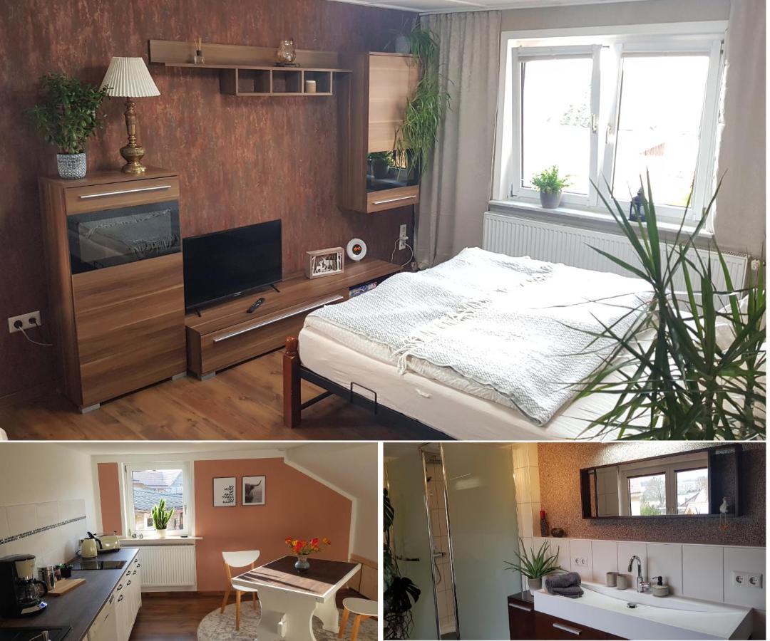Ferienwohnung Malu Sol Im Harz - Stilvoll, Gemuetlich, Tierfreundlich - Mit Garten Allrode Exterior photo