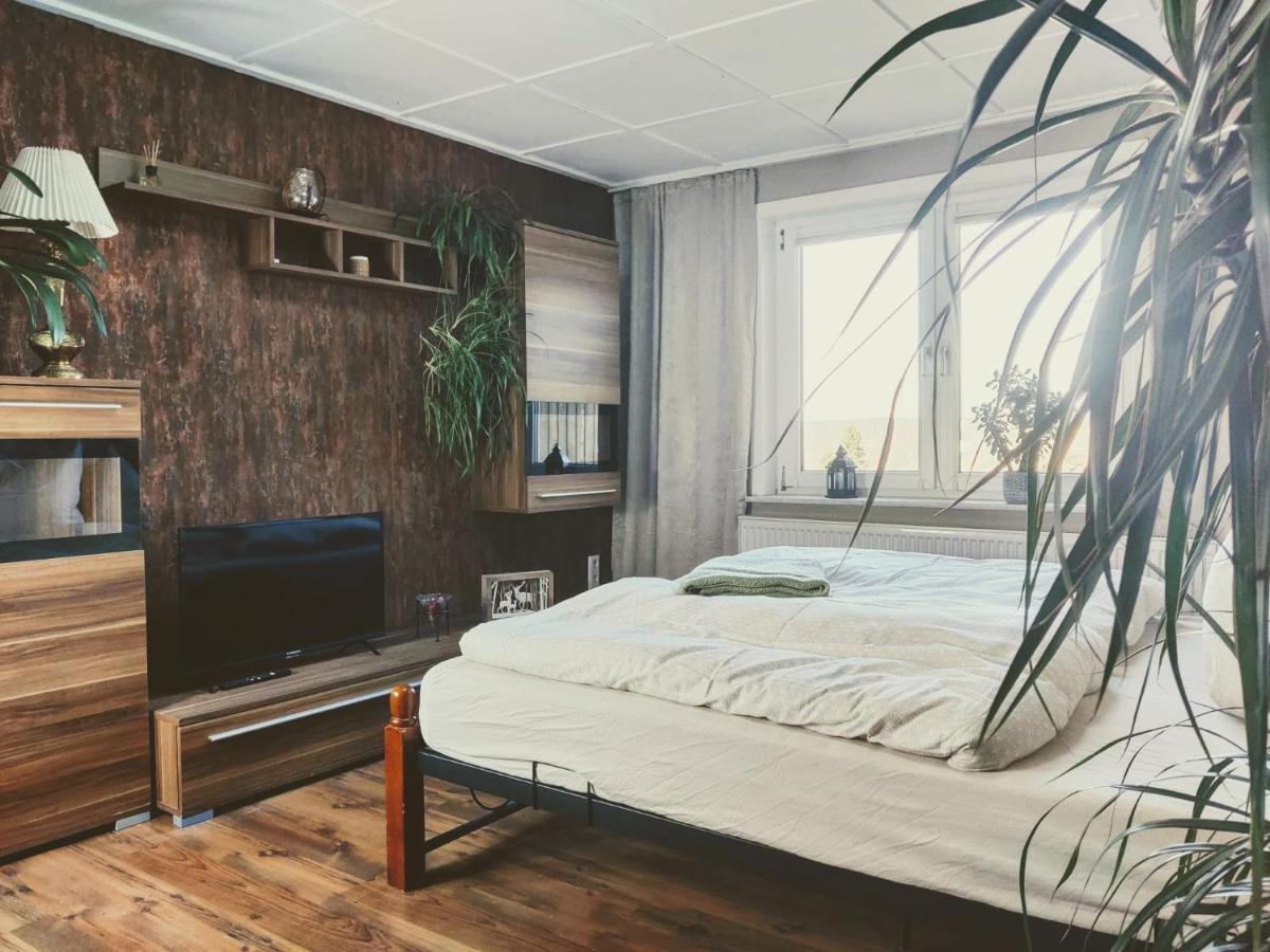 Ferienwohnung Malu Sol Im Harz - Stilvoll, Gemuetlich, Tierfreundlich - Mit Garten Allrode Exterior photo