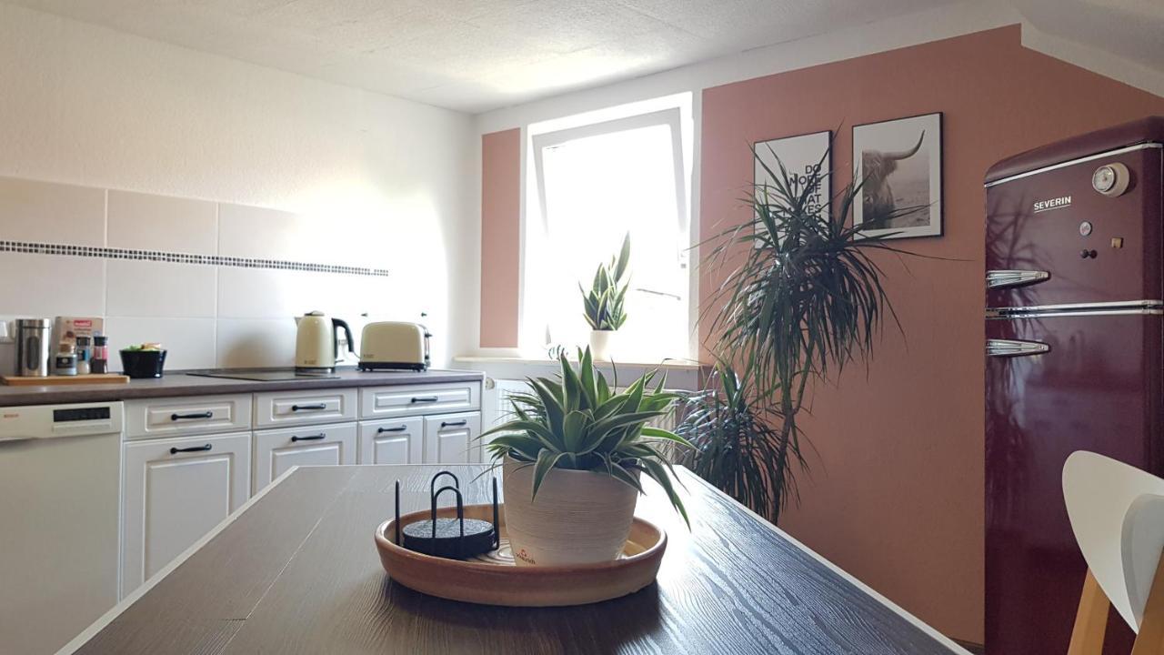 Ferienwohnung Malu Sol Im Harz - Stilvoll, Gemuetlich, Tierfreundlich - Mit Garten Allrode Exterior photo