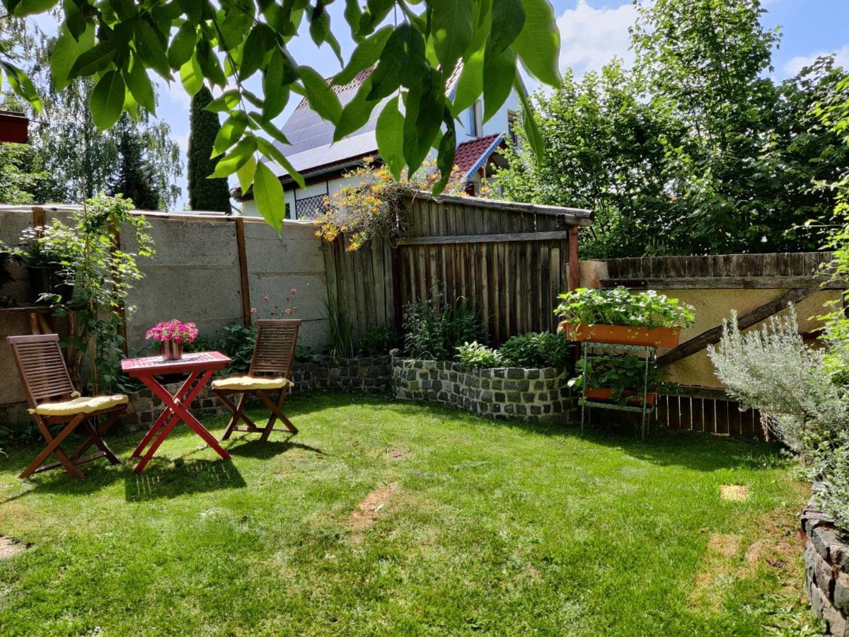Ferienwohnung Malu Sol Im Harz - Stilvoll, Gemuetlich, Tierfreundlich - Mit Garten Allrode Exterior photo